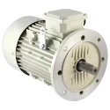 Crompton 1 HP IEC 80 General Purpose Motor Image-1