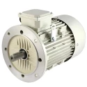  Crompton 1 HP IEC 80 General Purpose Motor Image-4
