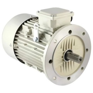 Crompton 2 HP IEC 100 General Purpose Motor Image-1