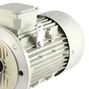  Crompton 2 HP IEC 100 General Purpose Motor Image-6