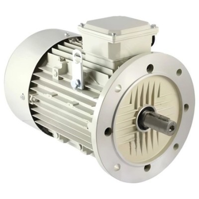 Crompton 3 HP 112M General Purpose Motor Image-1
