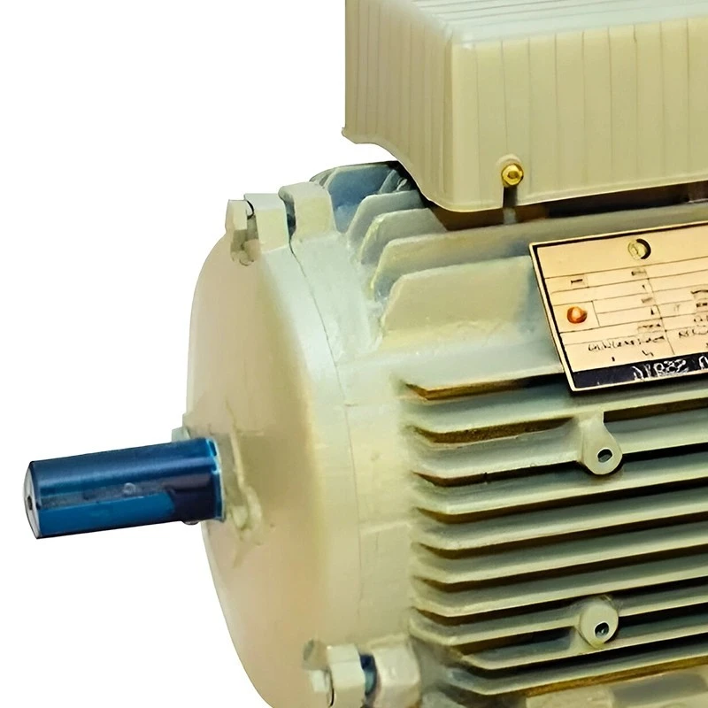  Crompton 2 HP 100L General Purpose Motor Image-5