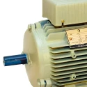  Crompton 3 HP 112 General Purpose Motor Image-5