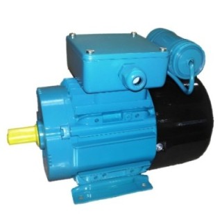 Crompton 0.75 HP 80 Frame Motor Image-1
