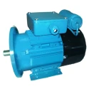 Crompton 3 HP IEC100L Motor Image-1