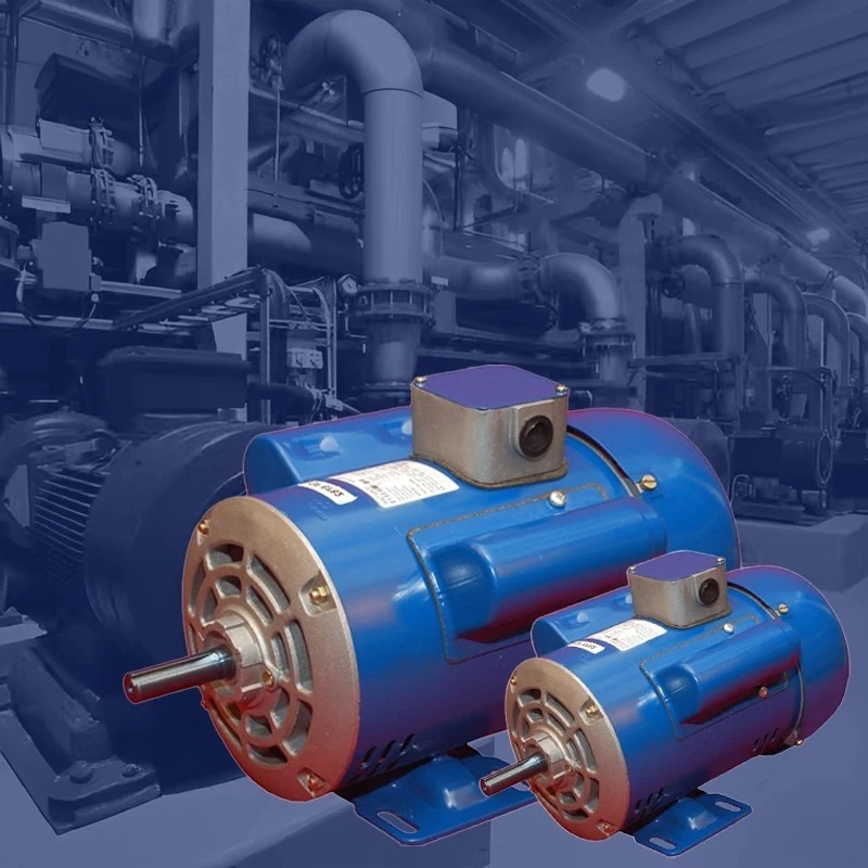  Crompton 1.5 HP S90 General Purpose Motor Image-3