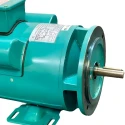  Crompton 1 HP IEC 80 General Purpose Motor Image-5