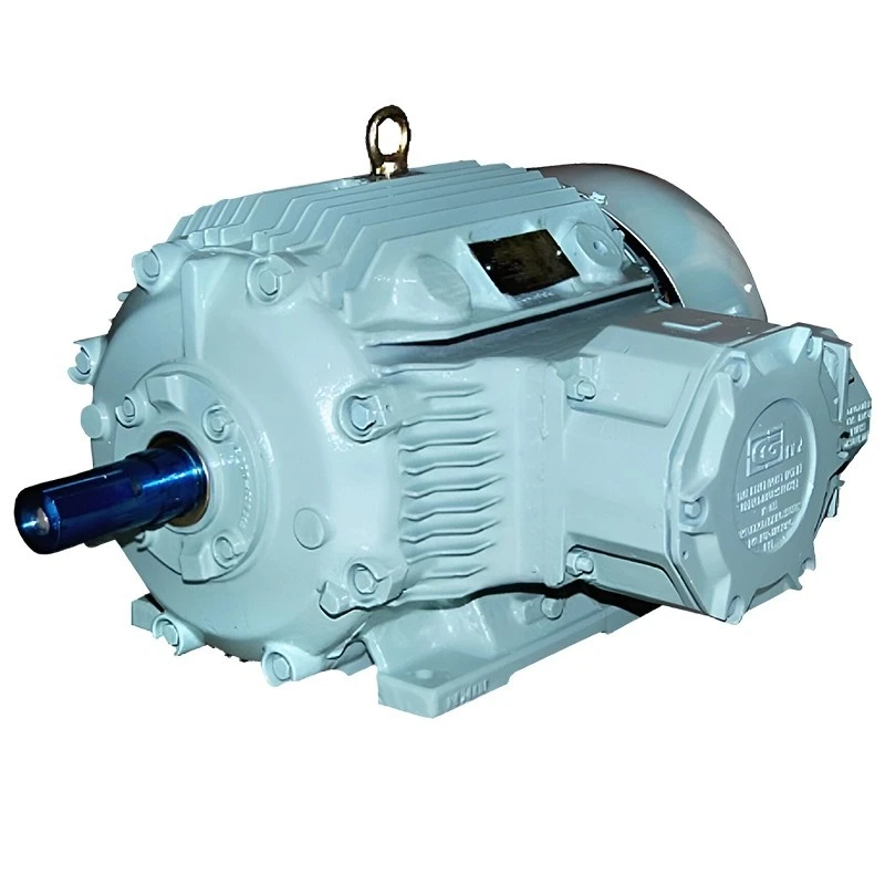 Crompton 0.75 HP FP50 Flame Proof Motor Image-1