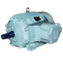 Crompton 1 HP FP50 Flame Proof Motor Image-1