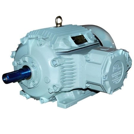 Crompton 1 HP FP50 Flame Proof Motor Image-1