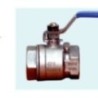 Screwed End Ball Valve Single Piece (CF8-20 mm)