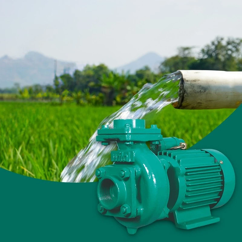  Wilo WMB05H Kushal_M Monoblock pumpset Image-6