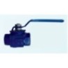 Screwed End Single Piece Design Cast Iron Ball Valve (100 mm)