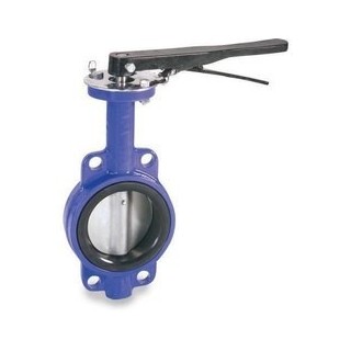 butterely-valve-wafer-type-cf8-40-mm-15585