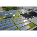 green-roof-in-elevated-solar-rooftop-pv-system-15682