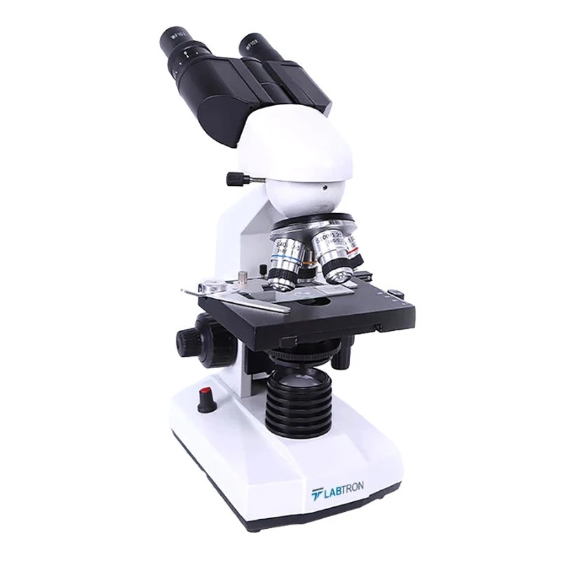 Labtron Binocular Electric Microscope LBEM-A10 image-1
