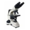Labtron LBM-A11 Biological Microscope
