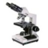 Labtron LBM-B10 Biological Microscope