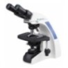 Labtron LBM-B11 Biological Microscope