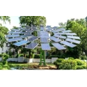 solar-tree-plant-15719