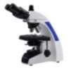 Biological Microscope EBM-B21