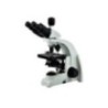 Labtron LBM-C20 Biological Microscope