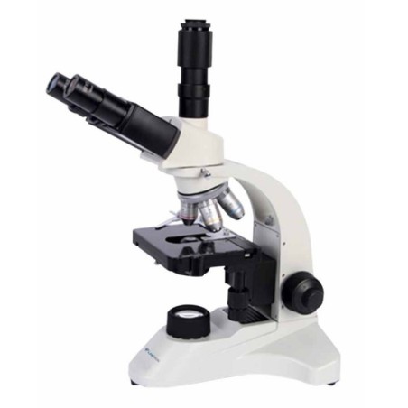 Labtron Biological Microscope LBM-D12 image-1