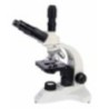 Biological Microscope EBM-D12