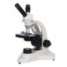 Labtron LBM-D14 Biological Microscope