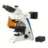 Labtron LBM-F10 Biological Microscope
