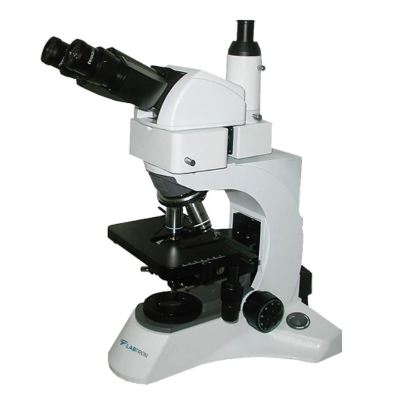 Labtron Biological Microscope LBM-F20 image-1