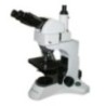 Biological Microscope EBM-F20