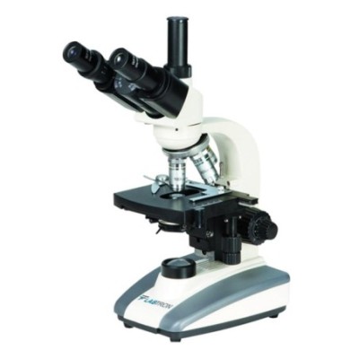 Labtron Biological Microscope LBM-F22 image-1
