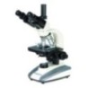 Labtron LBM-F22 Biological Microscope