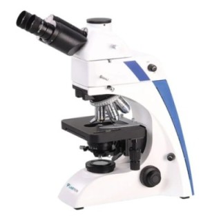 Labtron Fluorescence Microscope LFM-D10 image-1