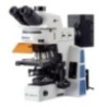 Labtron LFM-E10 Fluorescence Microscope