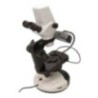 Digital Gemological Microscope EGOM-A20