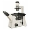 Inverted Biological Microscope EIBM-B10