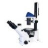 Labtron LIBM-F11 Inverted Biological Microscope