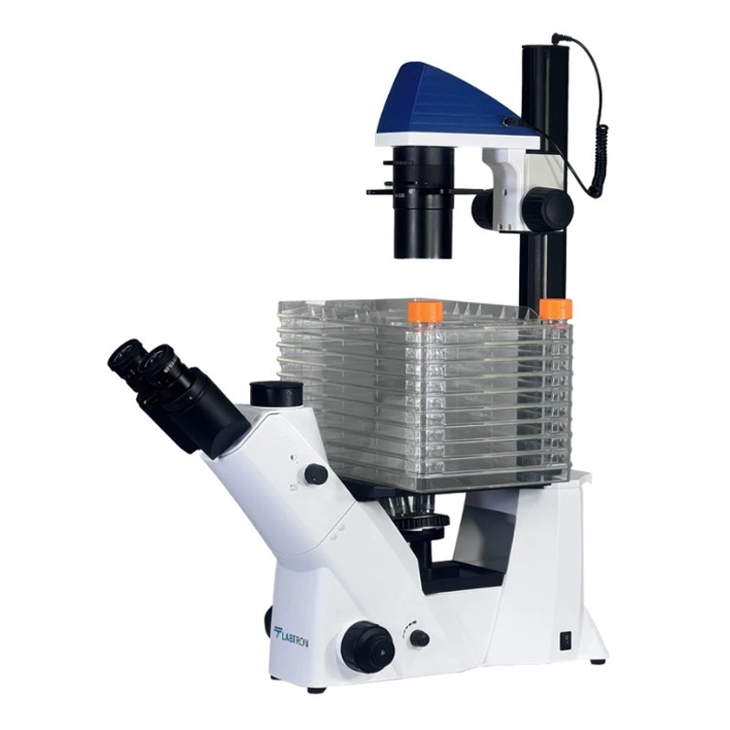  Labtron Inverted Biological Microscope LIBM-F11 image-2
