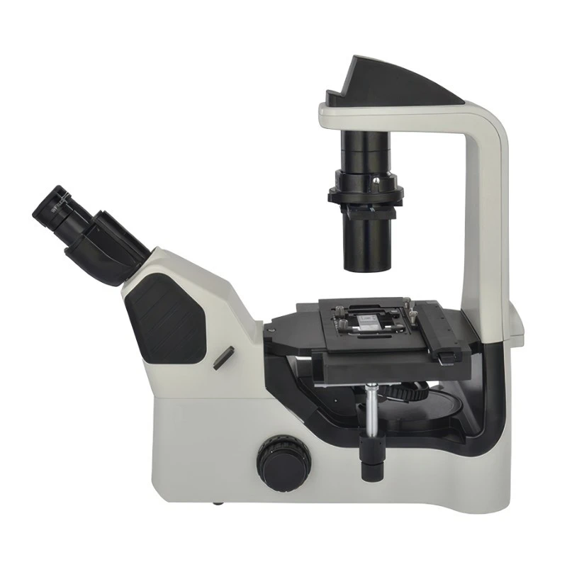  Labtron Inverted Biological Microscope LIBM-G10 image-3