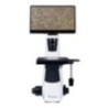 Labtron LIDM-A10 Digital Inverted Microscope