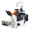 Labtron LIFM-A12 Inverted Fluorescence Microscope