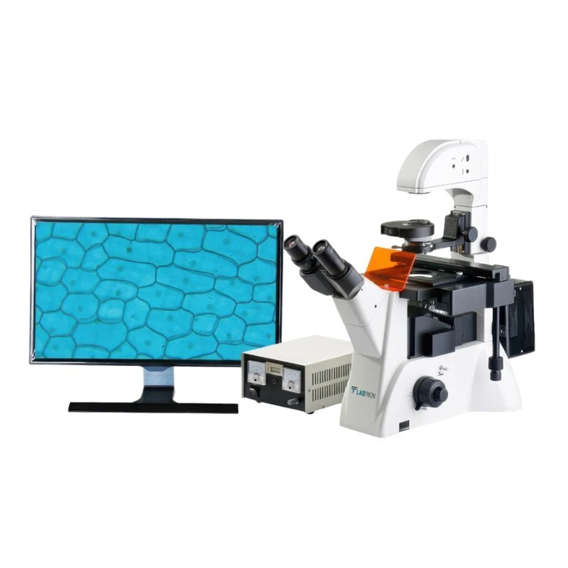  Labtron Inverted Fluorescence Microscope LIFM-A12 image-2