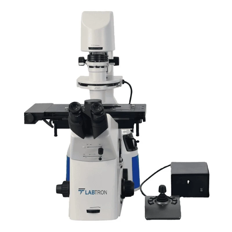  Labtron Inverted Fluorescence Microscope LIFM-B10 image-3