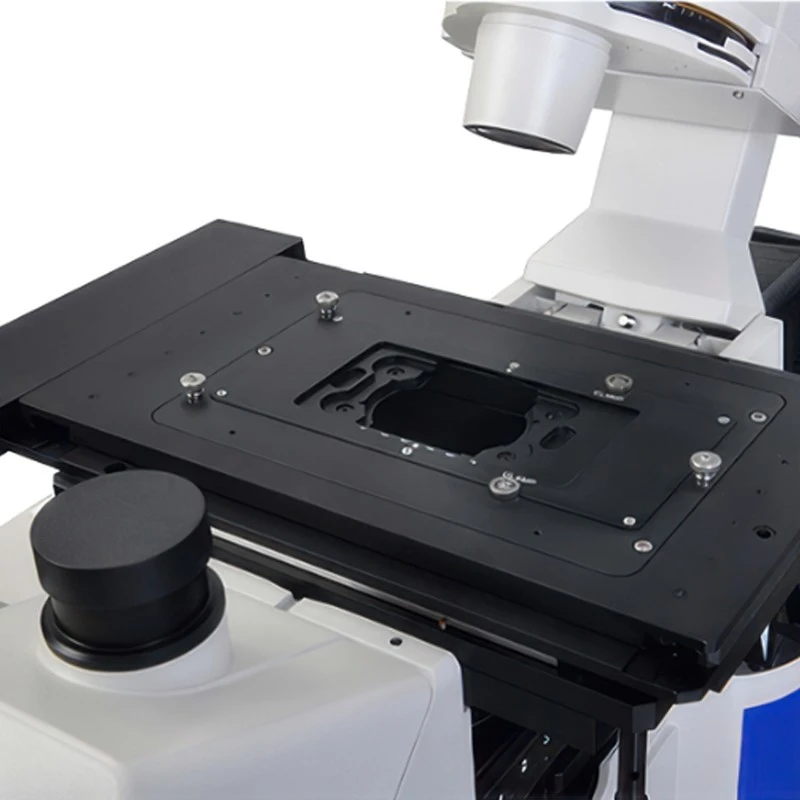  Labtron Inverted Fluorescence Microscope LIFM-B10 image-5