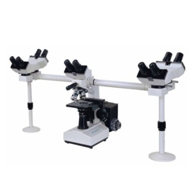 Labtron Multi-viewing Biological Microscope LMB-A10 image-1