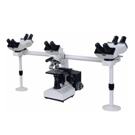 Labtron Multi-viewing Biological Microscope LMB-A10 image-1