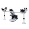 Labtron LMB-A10 Multi-viewing Biological Microscope