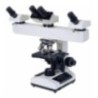 Labtron LMB-A11 Multi-viewing Biological Microscope